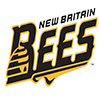 New Britan Bees